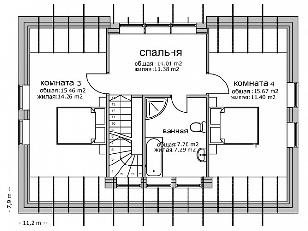 Балтика 81